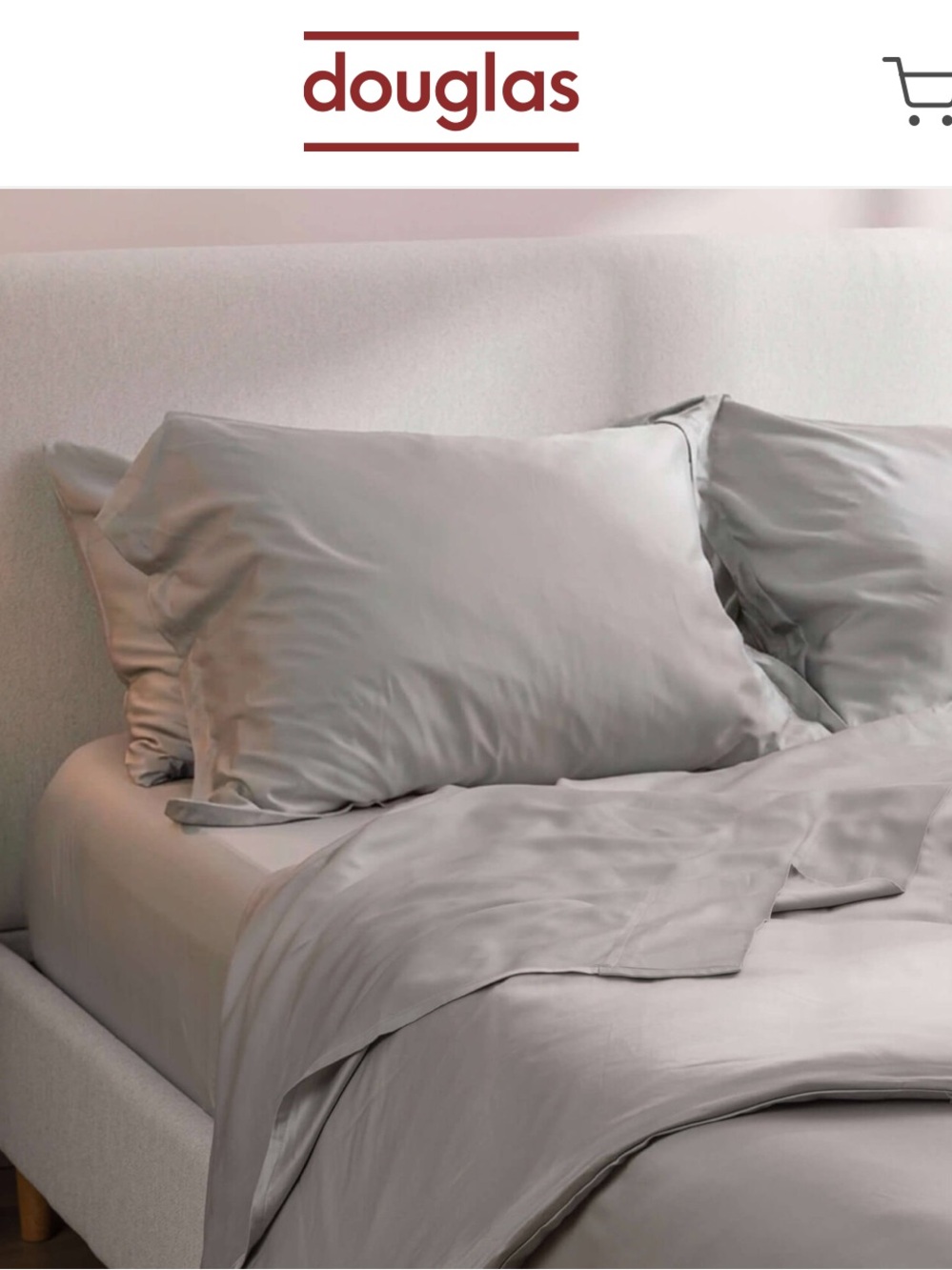 Douglas 100% Viscose from Bamboo King Duvet Cover + 2 Shams | Light Grey